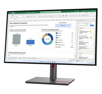 Lenovo ThinkVision P27h-30 27