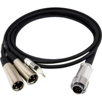 AZDEN MX-10 MX-10 DUAL XLR ADAPTER CABLE 10-PIN