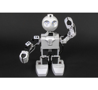 EZ Robot JD Humanoid Robot