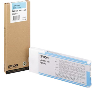 Epson Original Ink Cartridge