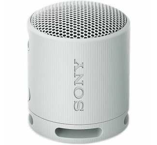 Sony XB100 Portable Bluetooth Speaker System - Gray