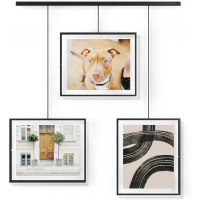 Umbra Exhibit 30P PD set of 3 Black 