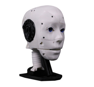 EZ Robot - EZ-INMOOV Robot Head