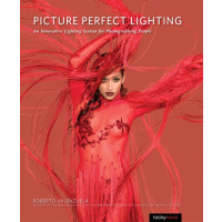 Picture Perfect Lighting 
