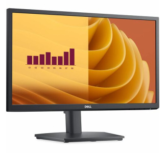 Dell E2225HS 22