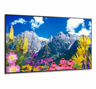 Sharp NEC Display 86