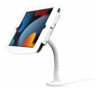 Compulocks iPad Enclosure Flexible Counter Stand - Space Flex