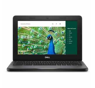 Dell Chromebook 3000 3120 11.6