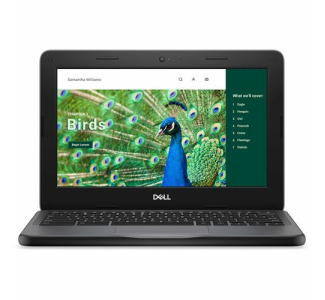 Dell Chromebook 3000 3120 11.6