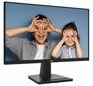 MSI PRO MP225V 21