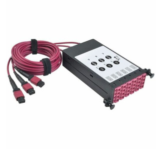 Eaton Tripp Lite Series 40/100Gb OM4 Fiber Breakout Cassette with Built-In MTP Cables, 40Gb to 4 x 10Gb, 100Gb to 4 x 25Gb, (x3) 8-Fiber OM4 MTP/MPO to (x12) LC Duplex