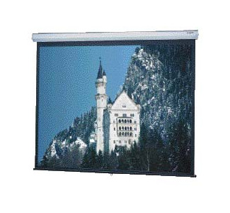 Dalite Model C Wall Screen-Video Format 60